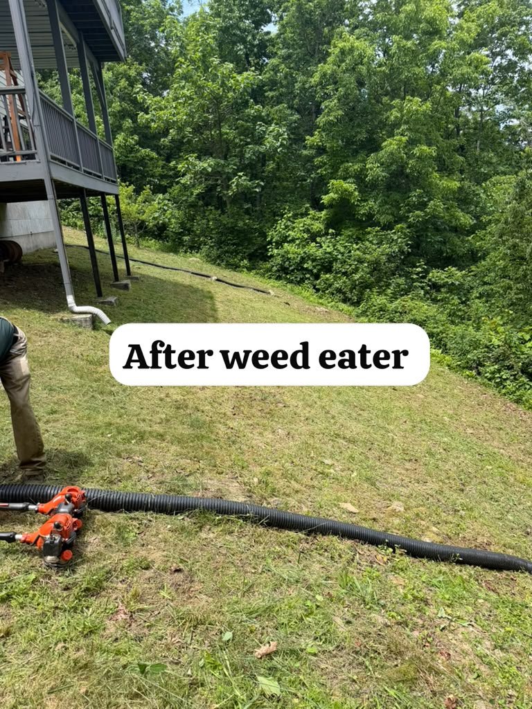 Weed trimming project photograph 6